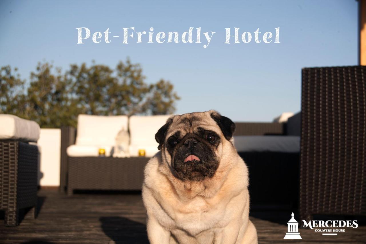 Mercedes Country House Faro Ngoại thất bức ảnh